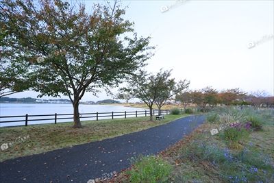 湖山池ナチュラルガーデン 湖山池公園 鳥取県撮れたて写真館 鳥取県広報連絡協議会