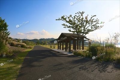 湖山池ナチュラルガーデン 湖山池公園 鳥取県撮れたて写真館 鳥取県広報連絡協議会