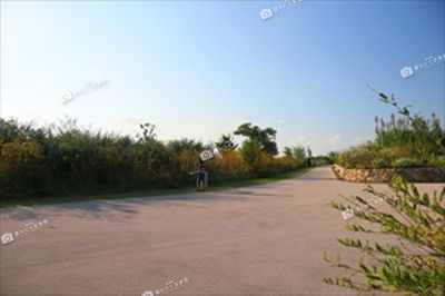 湖山池ナチュラルガーデン 湖山池公園 鳥取県撮れたて写真館 鳥取県広報連絡協議会