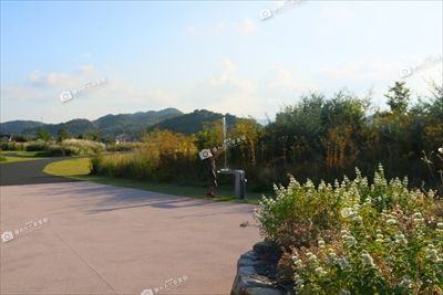 湖山池ナチュラルガーデン 湖山池公園 鳥取県撮れたて写真館 鳥取県広報連絡協議会