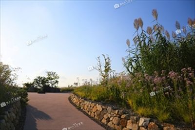 湖山池ナチュラルガーデン 湖山池公園 鳥取県撮れたて写真館 鳥取県広報連絡協議会